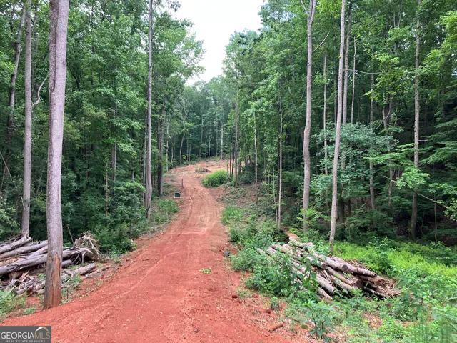 a view of a pathway with a park
