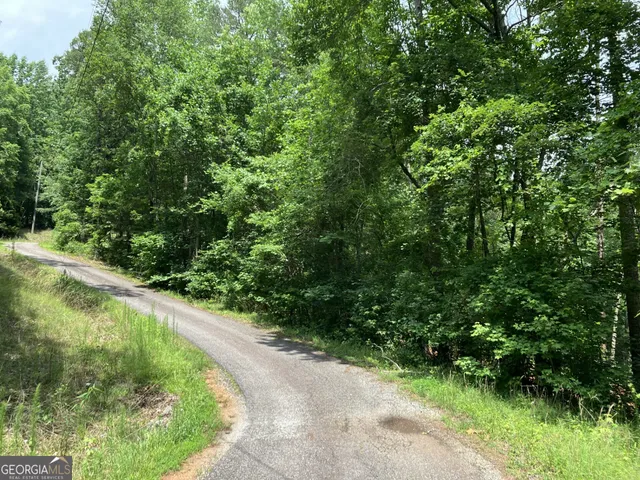 a view of a lush green forest with lawn chairs