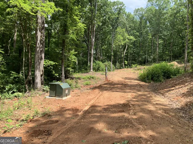 a view of a yard with plants and trees