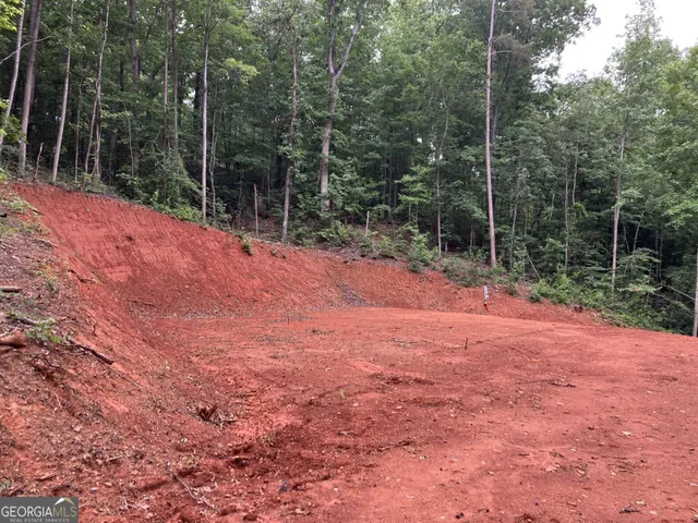 a view of a field with trees in the background