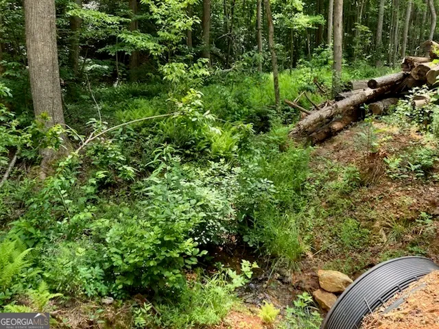 a view of a garden with a tree