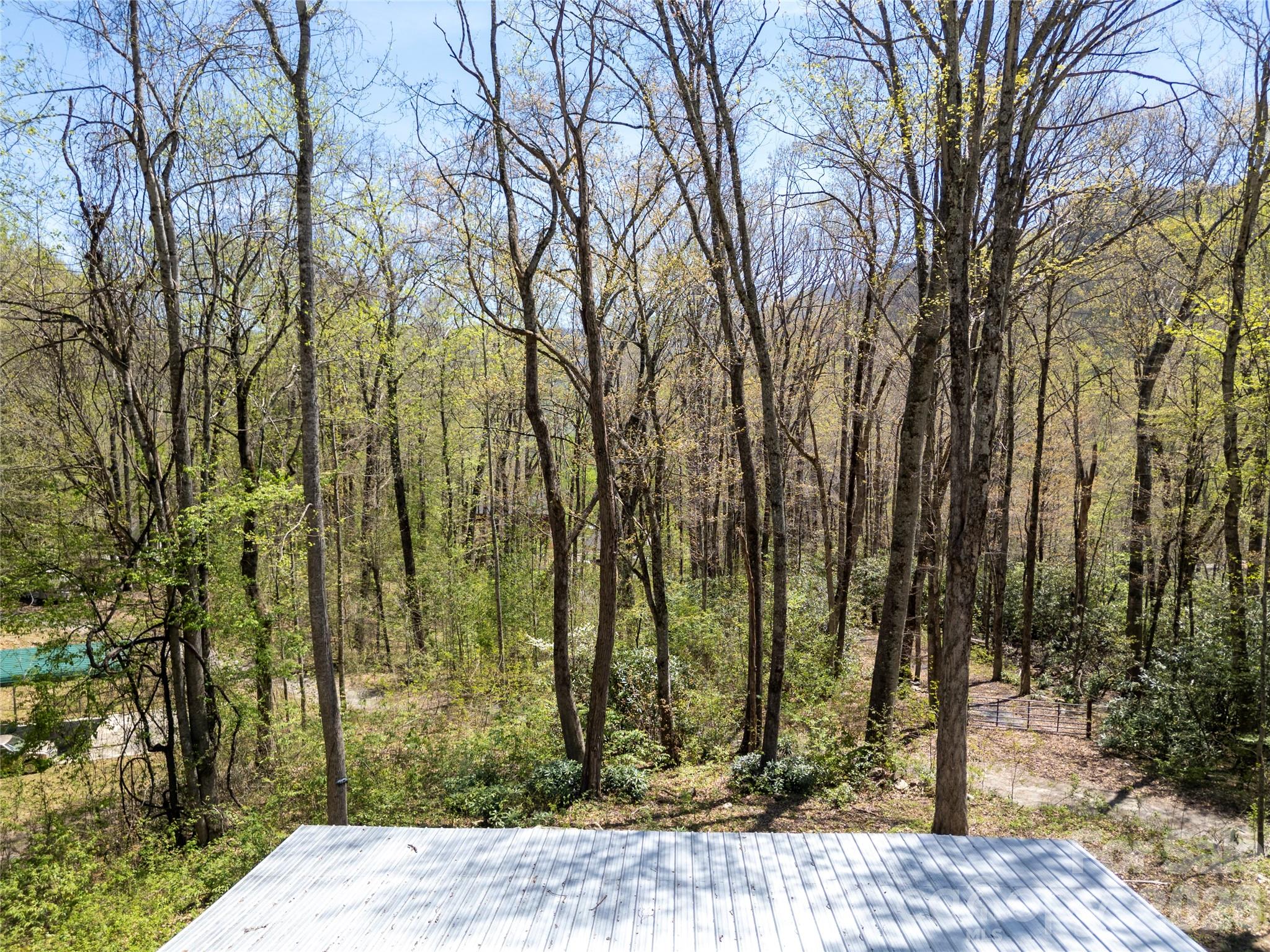 16 Standing Rock Ridge Maggie Valley, NC 28751 - Photo 14 of 20