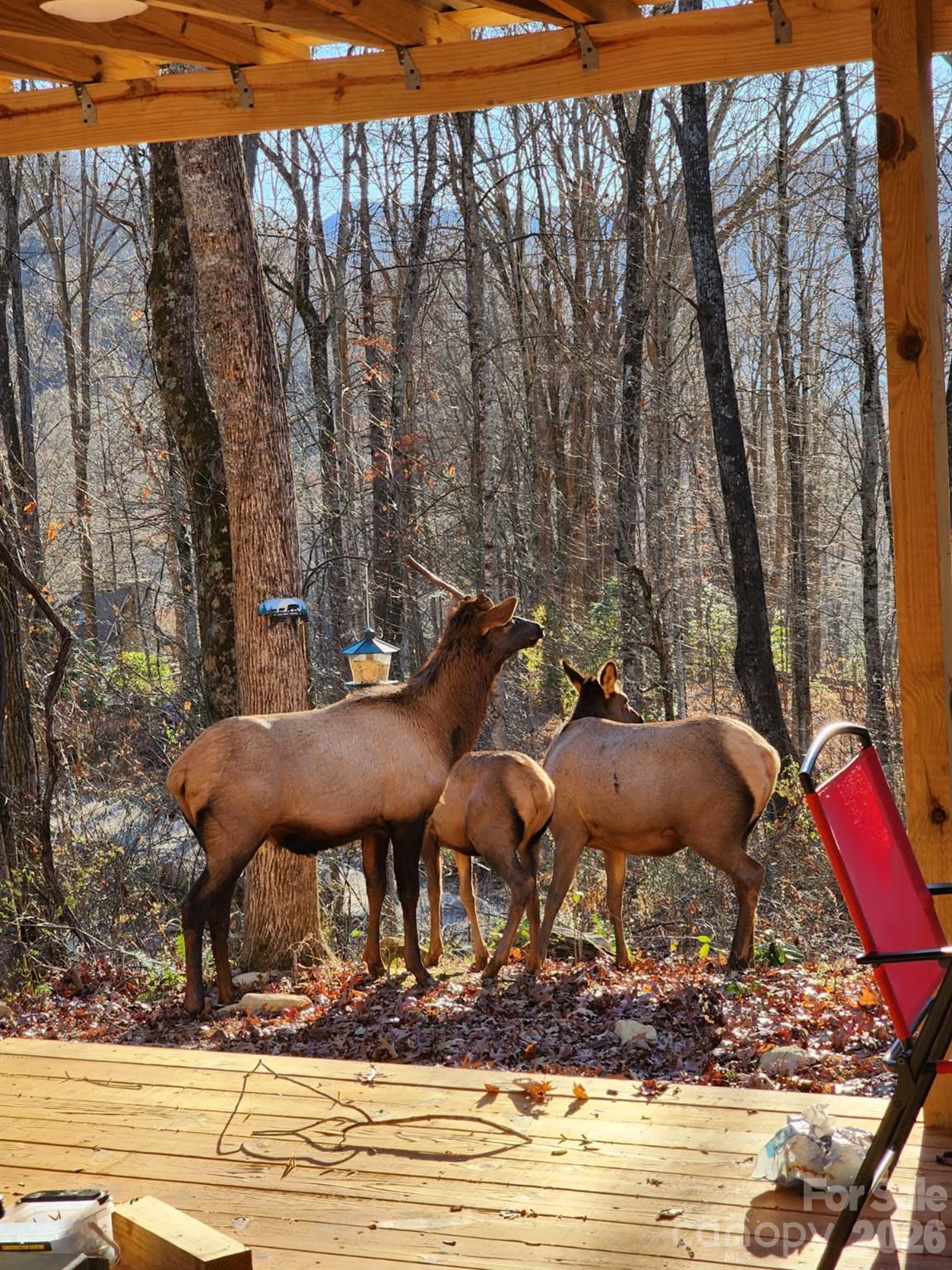 16 Standing Rock Ridge Maggie Valley, NC 28751 - Photo 17 of 20