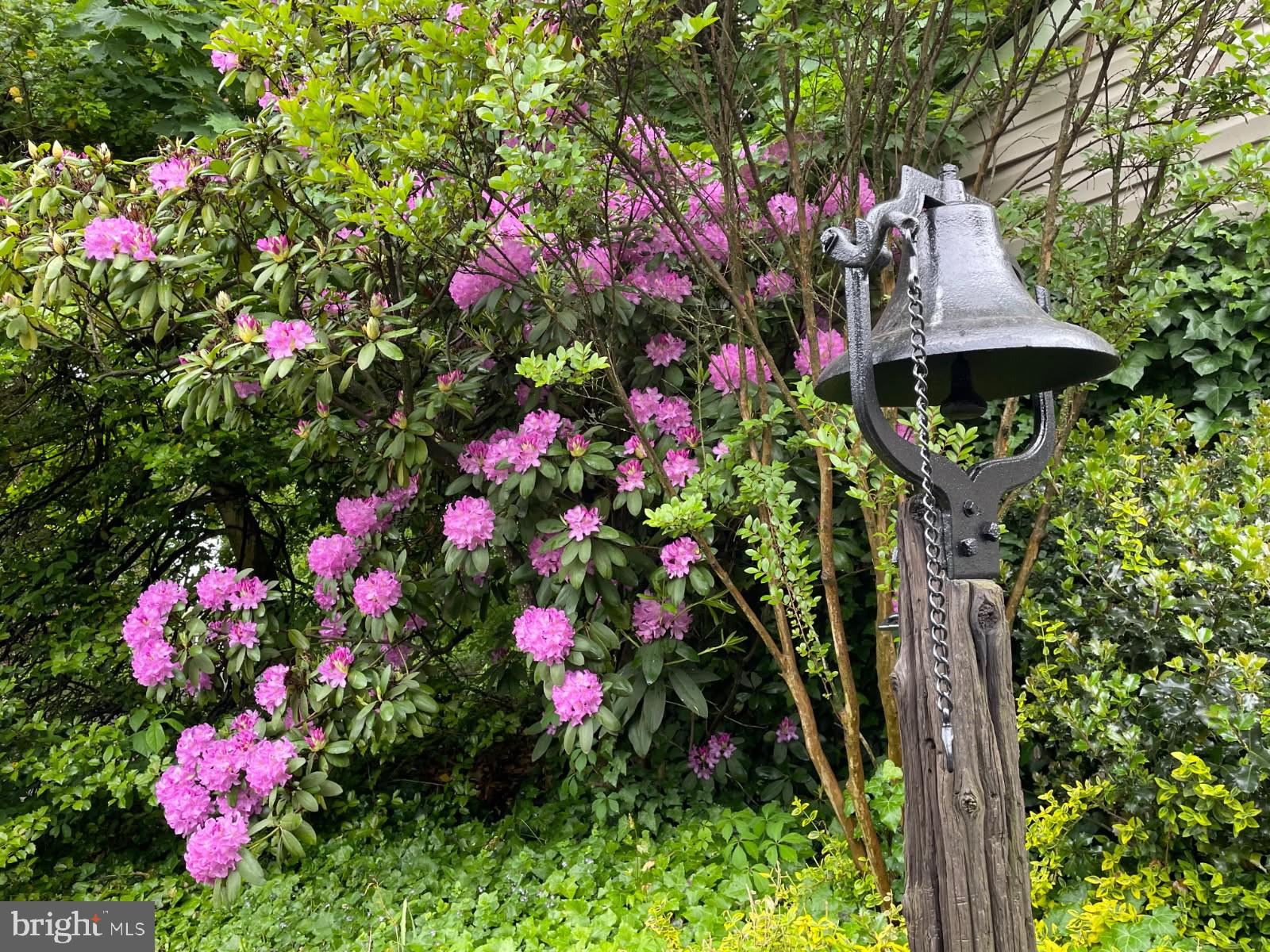 4 Bullens Lane Wallingford, PA 19086 - Photo 87 of 90 Ring the Bell!