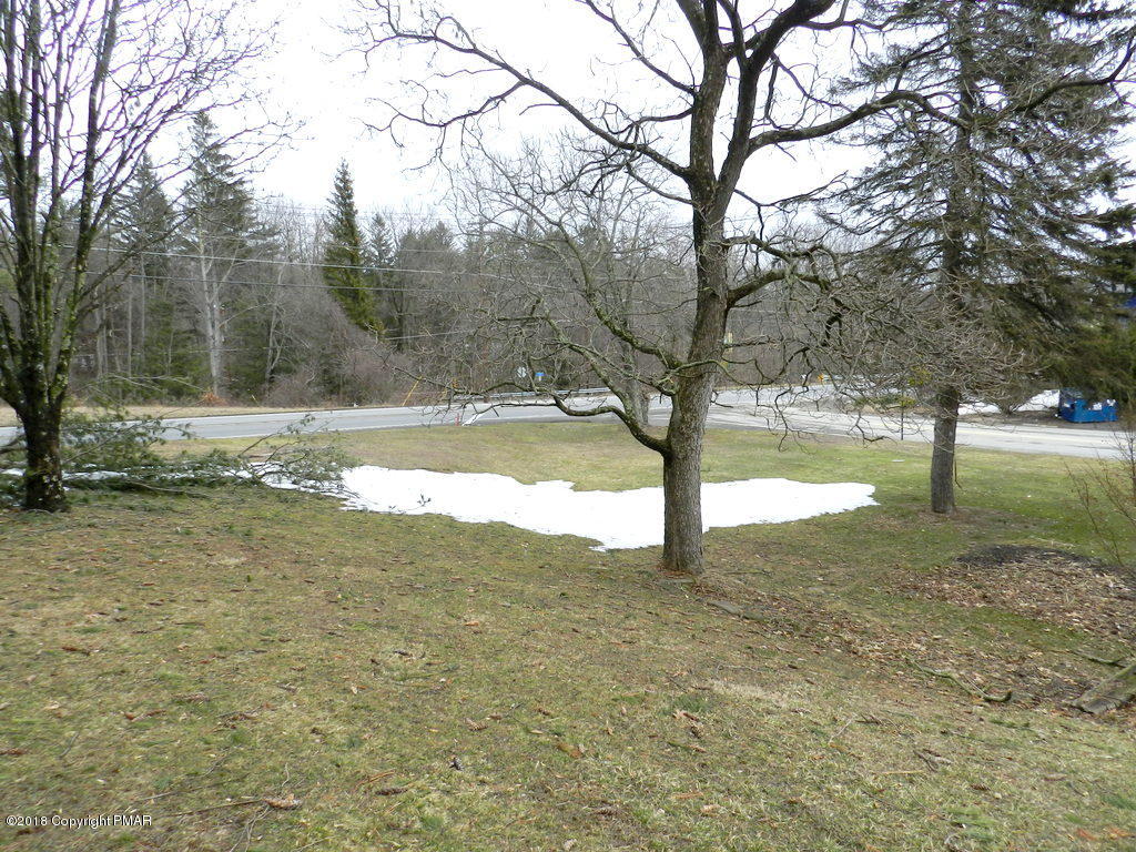 541 Grange Road Mount Pocono, PA 18344 - Photo 8 of 19 a view of yard with tree