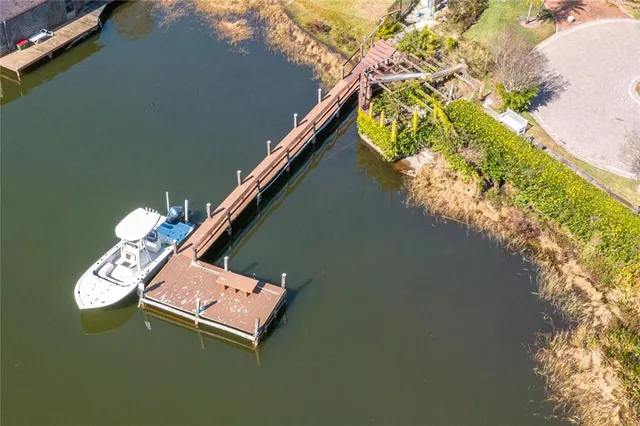 a wooden floor with some trees in the background