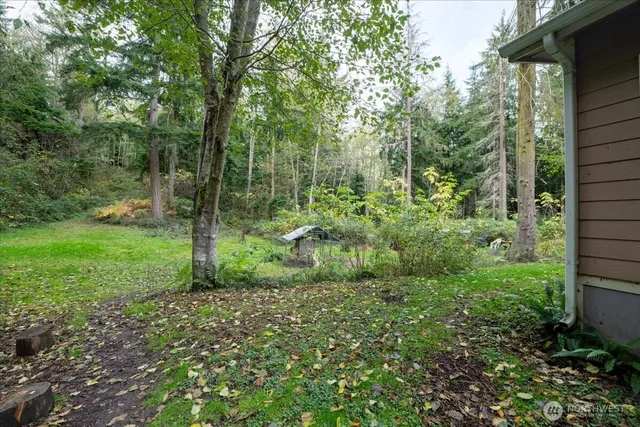 a view of a park with large trees