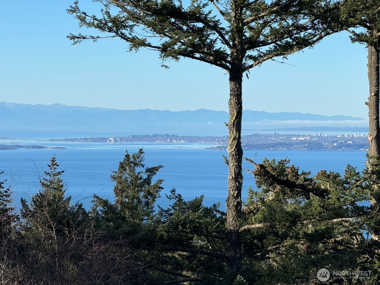 30 Rascal Road Friday Harbor, WA 98250 - Photo 5 of 20