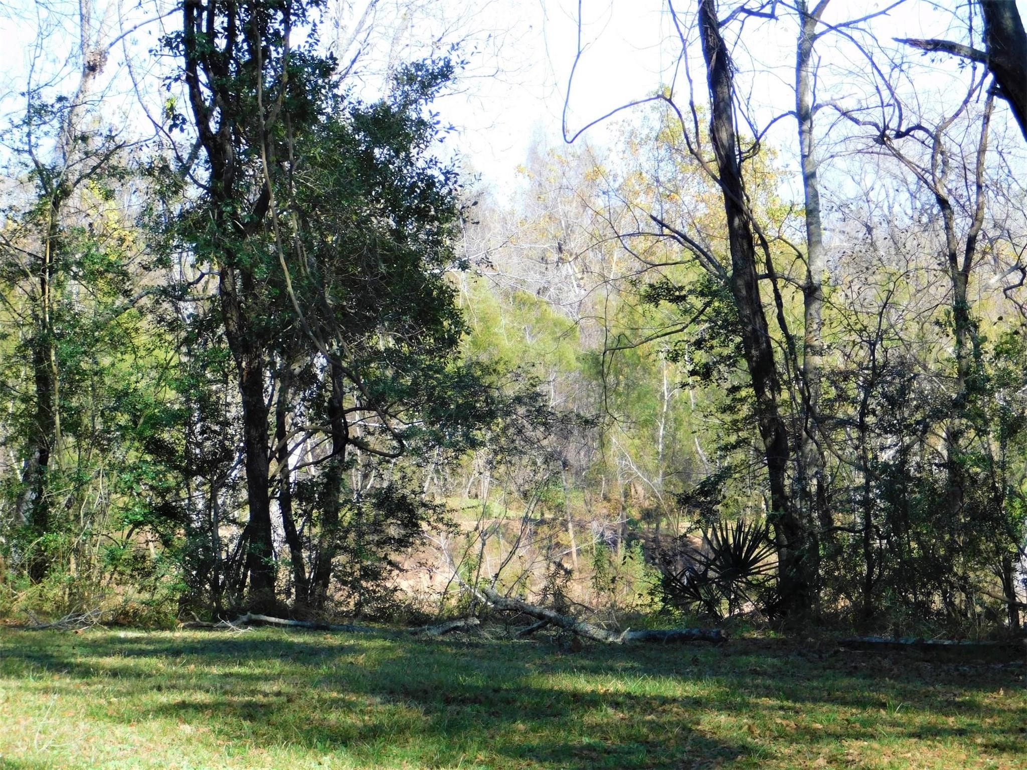 0 Brazos River Road Rosharon, TX 77583 - Photo 6 of 8 a view of a park