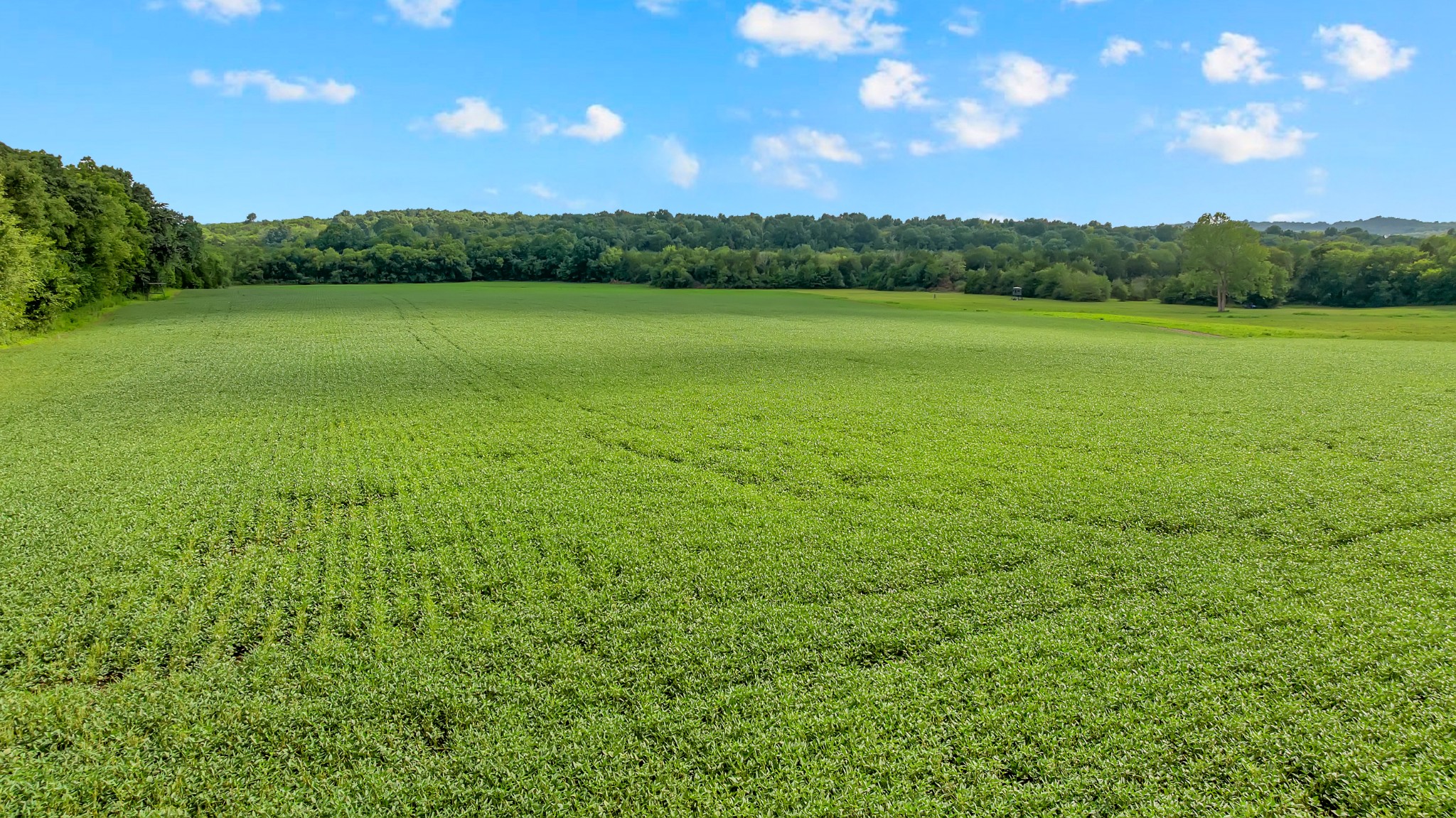 0 South Commerce Road Watertown, TN 37184 - Photo 11 of 37 Gallery Image 11