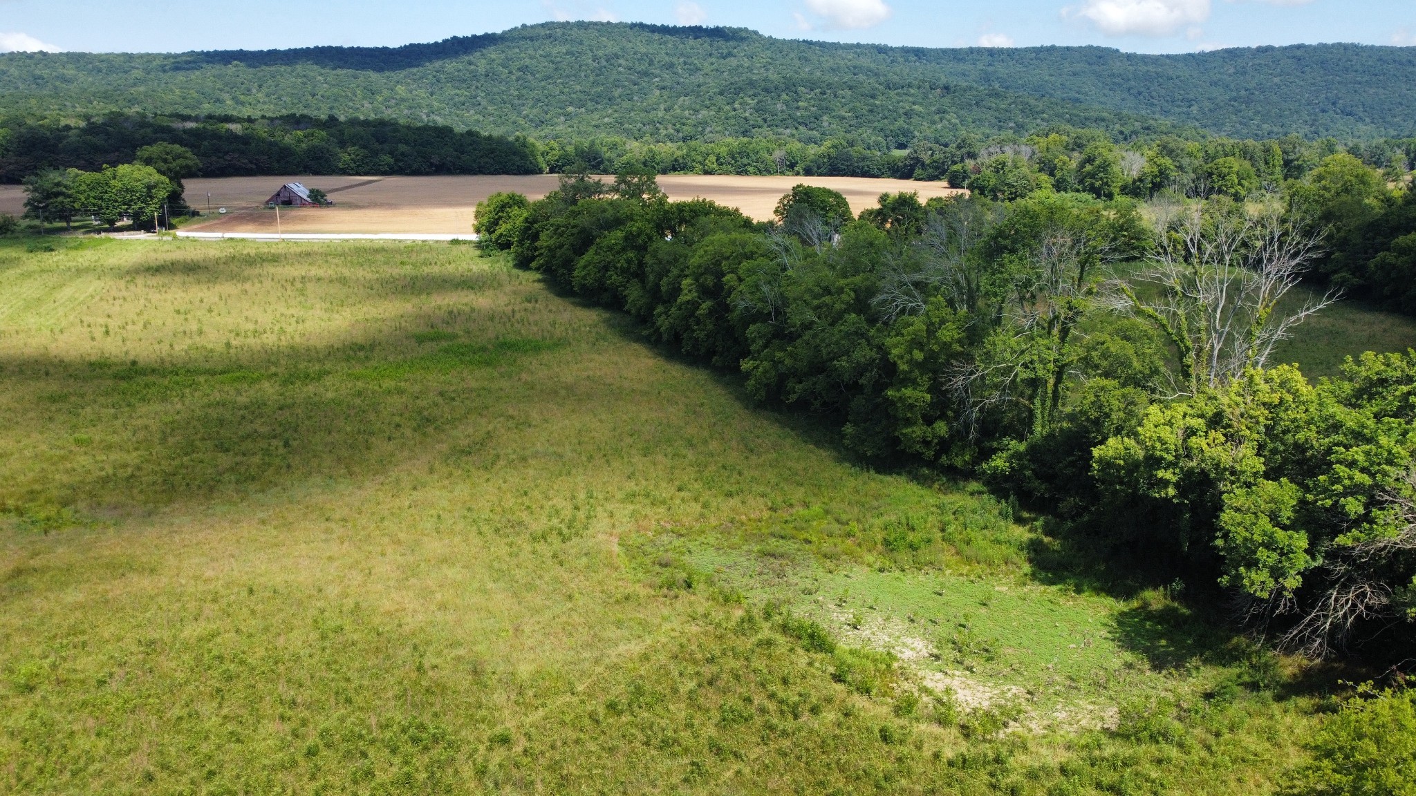 5600 Sr 50 Pelham, TN 37366 - Photo 5 of 13 a view of lake with green space
