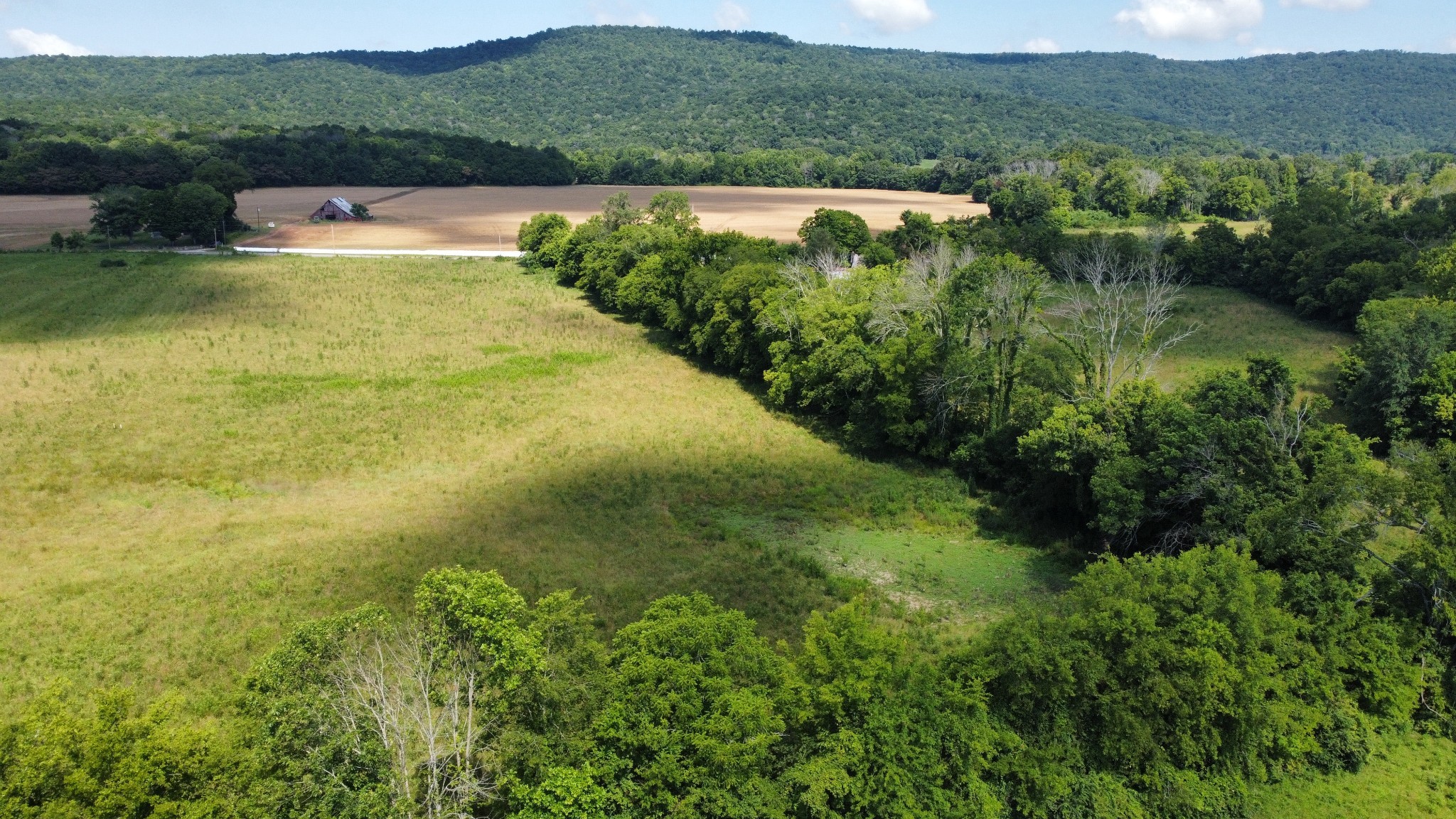 5600 Sr 50 Pelham, TN 37366 - Photo 5 of 13 a view of outdoor space and yard