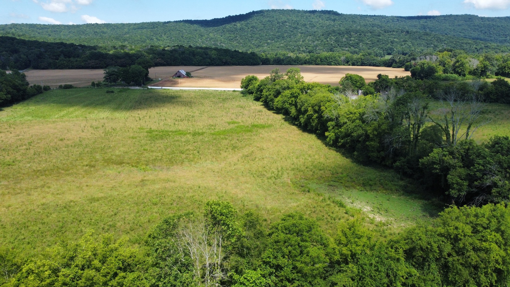 5600 Sr 50 Pelham, TN 37366 - Photo 7 of 13 a view of outdoor space and yard