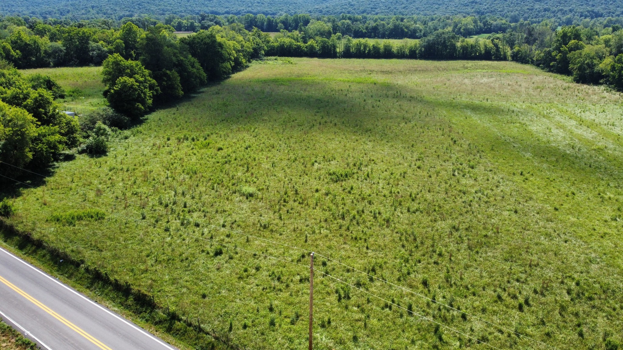 5600 Sr 50 Pelham, TN 37366 - Photo 10 of 13 a view of a garden