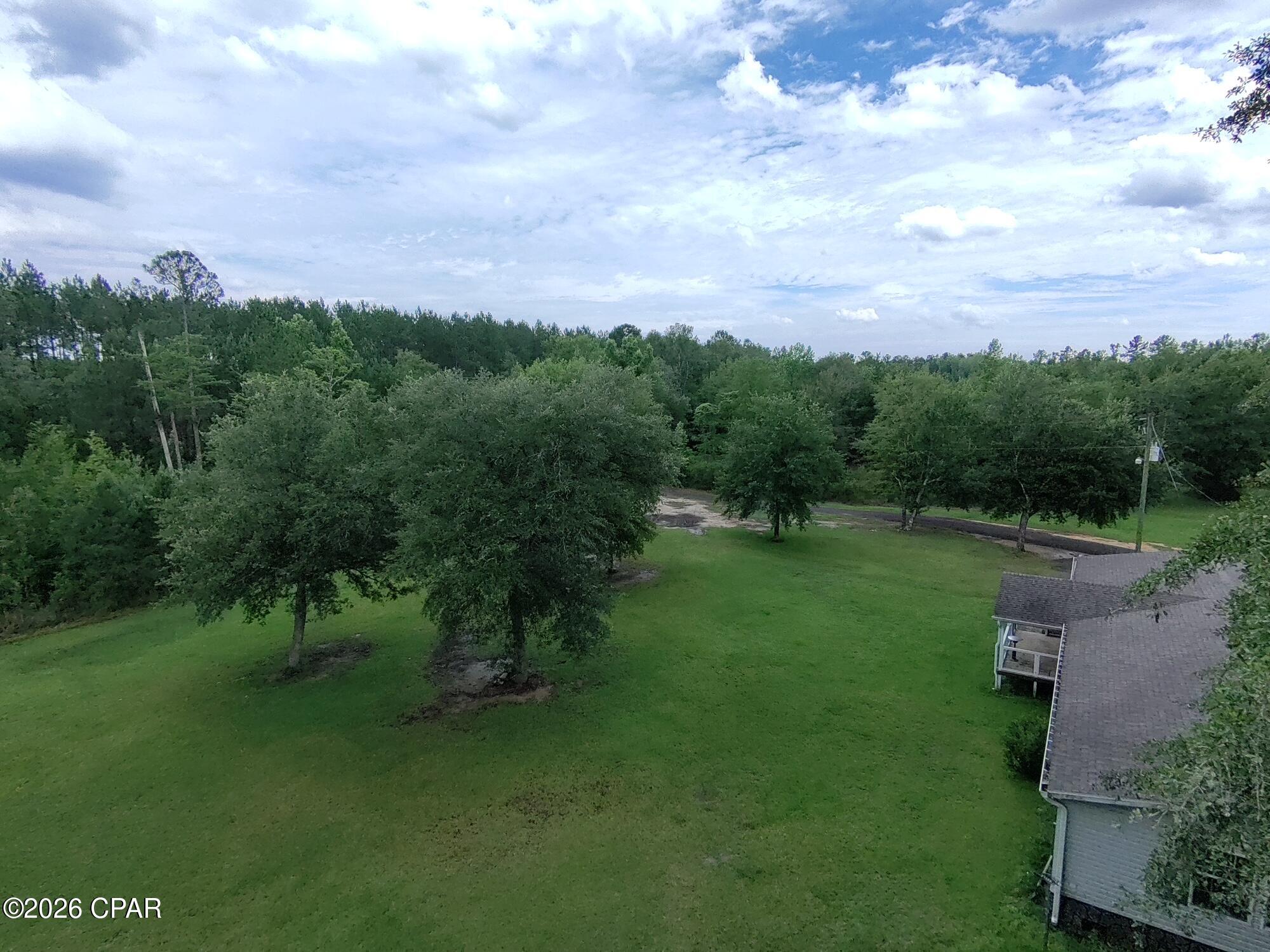 2802 Sylvania Road Vernon, FL 32462 - Photo 9 of 38