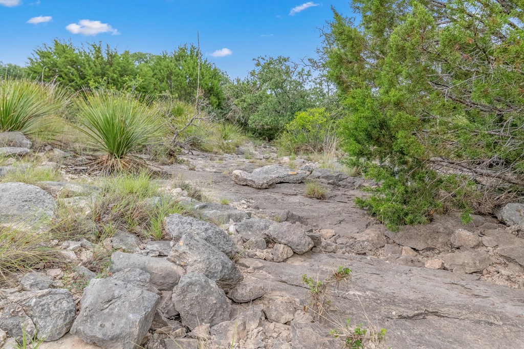 41 Rocksprings Tx 78880 Rocksprings, TX 78880 - Photo 24 of 62