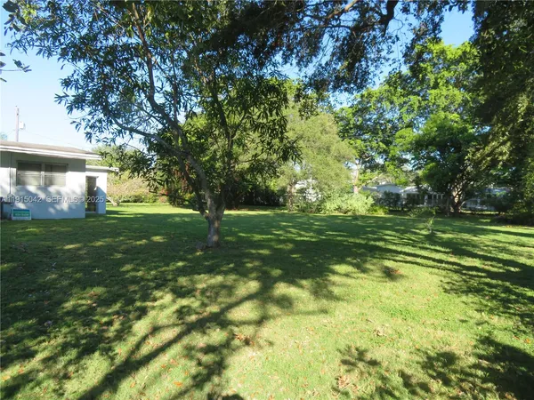 a view of a trees with a big yard