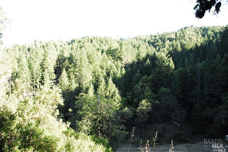 8555 Cave Creek Road Redwood Valley, CA 95470 - Photo 9 of 9 a view of a building