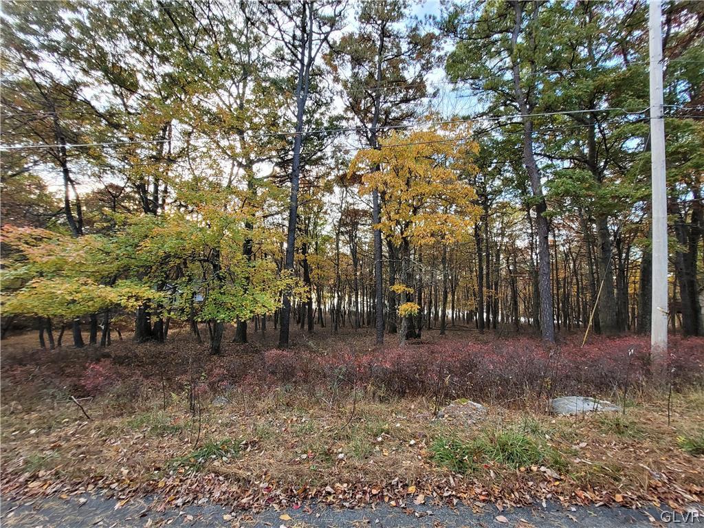 250 Doe Loop Bushkill, PA 18324 - Photo 1 of 1 Gallery Image 1