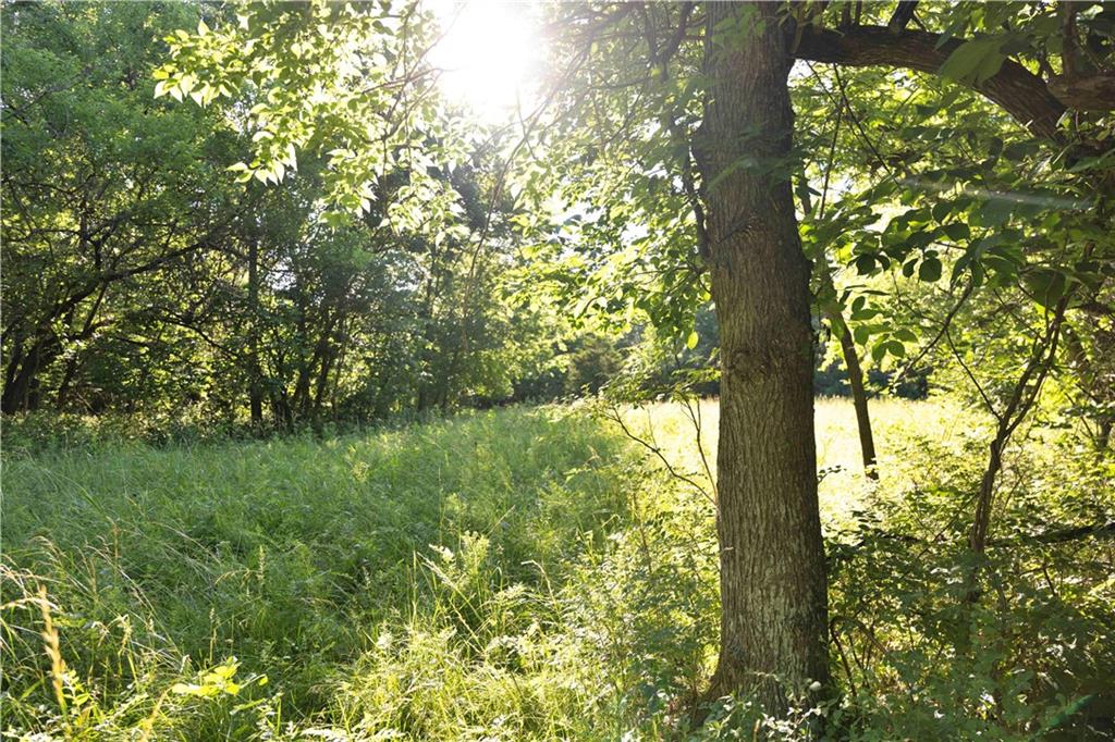 Southeast 321st Road Leeton, MO 64761 - Photo 32 of 75