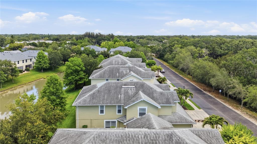 497 Harbor Ridge Drive Palm Harbor, FL 34683 - Photo 44 of 52