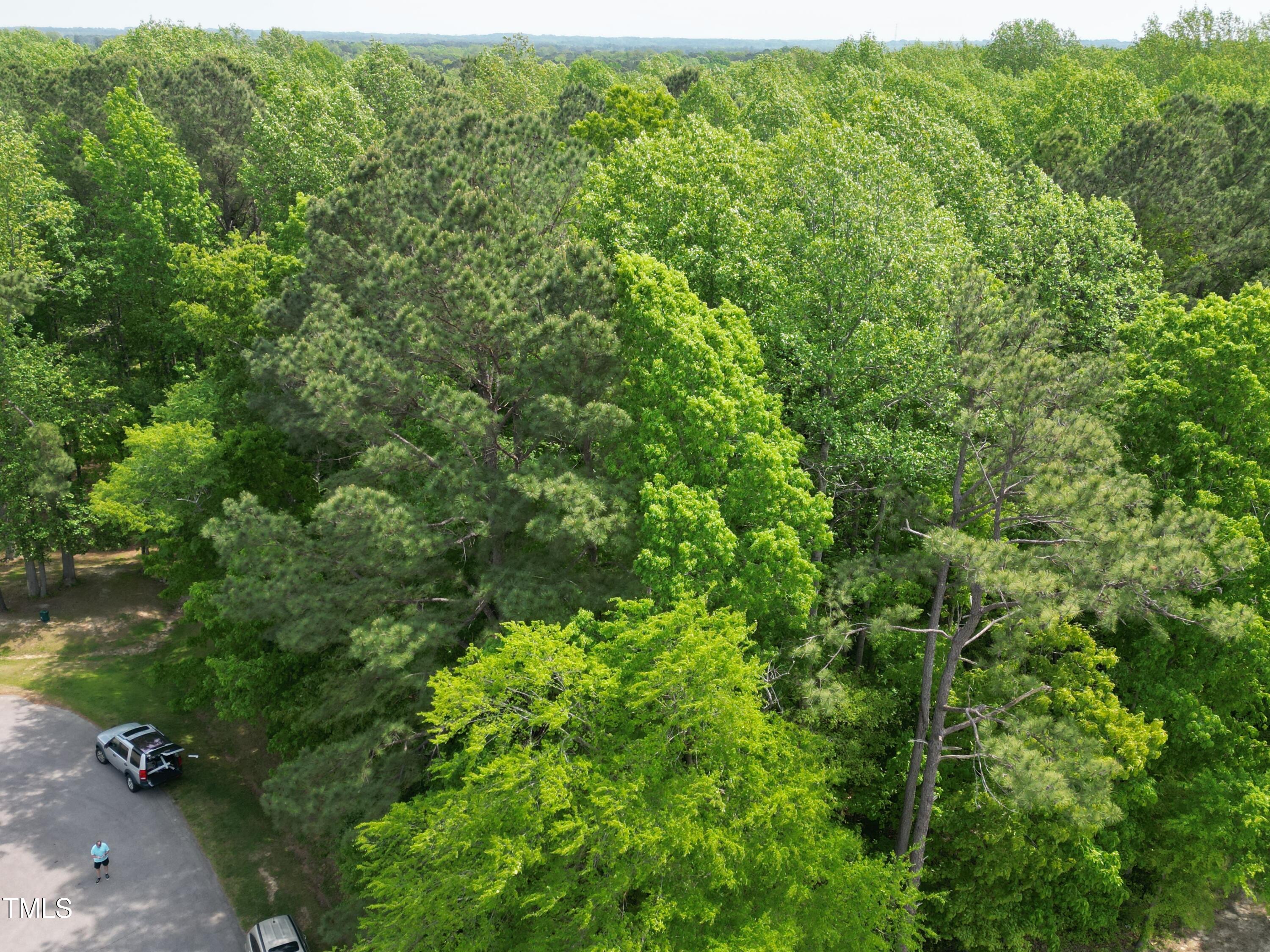 2712 Homestead Forest Road Zebulon, NC 27597 - Photo 16 of 18 DJI_0178