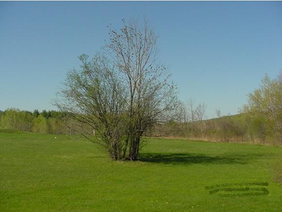972 Vail Road Bennington, VT 05201 - Photo 3 of 32