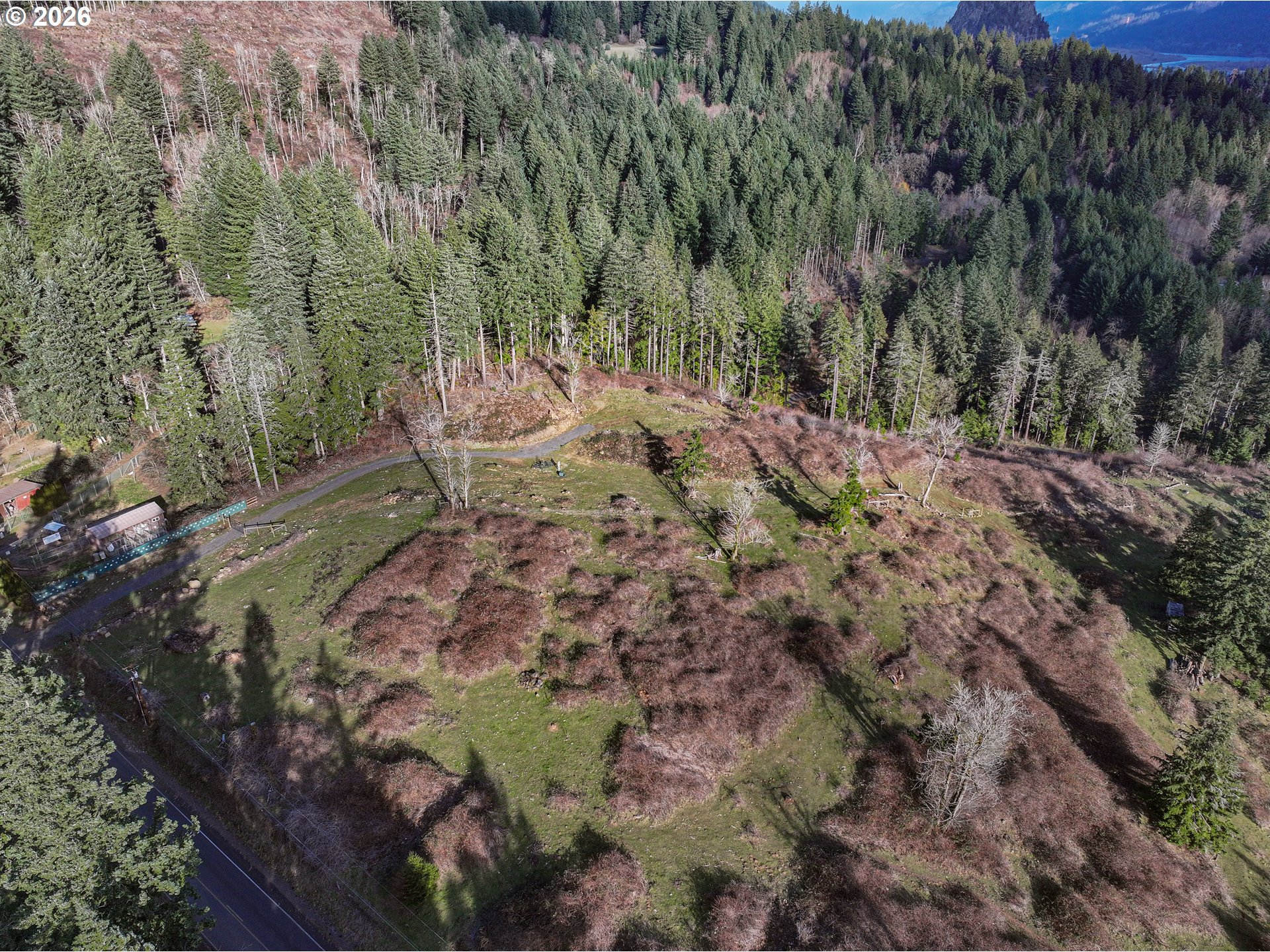 562 Woodard Creek Road Stevenson, WA 98648 - Photo 17 of 33