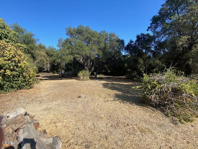 1331 Say Road Santa Paula, CA 93060 - Photo 2 of 8 a view of outdoor space with trees all around