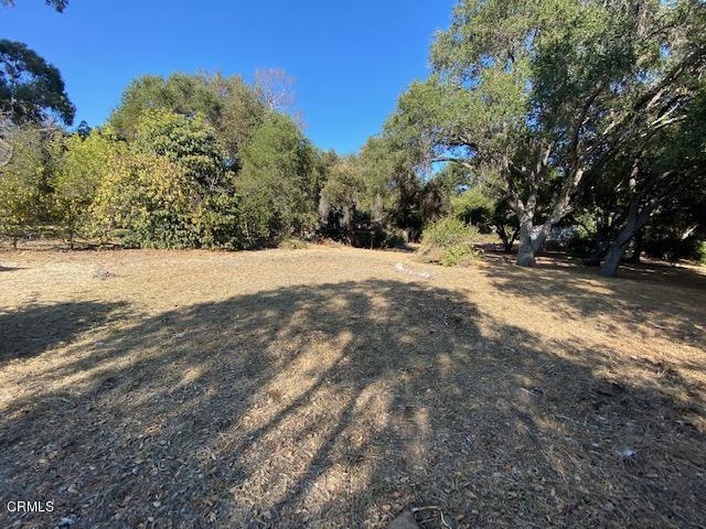 1331 Say Road Santa Paula, CA 93060 - Photo 3 of 8 a view of empty space with mountain view