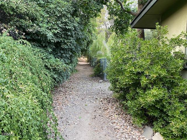 1331 Say Road Santa Paula, CA 93060 - Photo 5 of 8 a view of a yard with plants and a fountain