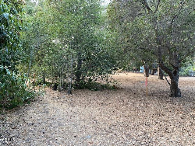 1331 Say Road Santa Paula, CA 93060 - Photo 6 of 8 a view of outdoor space and trees