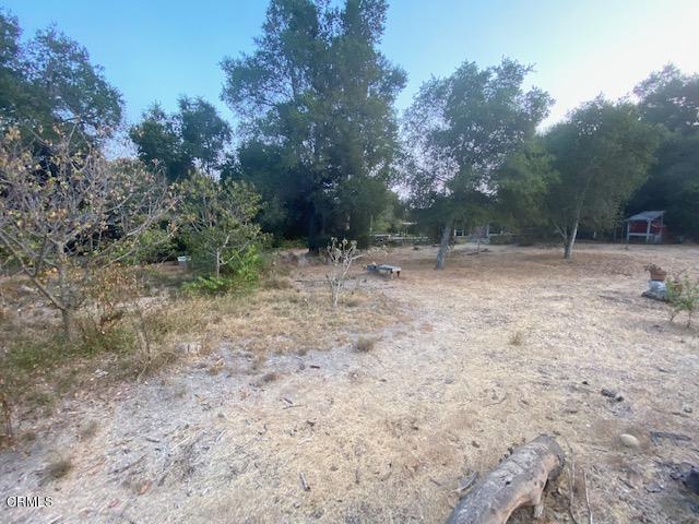 1331 Say Road Santa Paula, CA 93060 - Photo 7 of 8 a backyard of a house with lots of green space