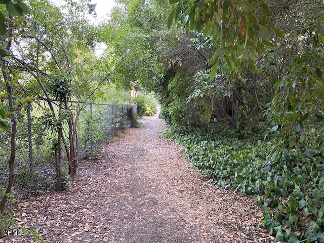 1331 Say Road Santa Paula, CA 93060 - Photo 8 of 8 a big yard with lots of green space and deers