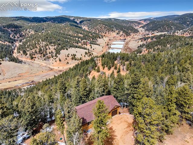 1055 Timber Ridge Road Divide, CO 80814 - Photo 42 of 47 Birds eye view of property with a forest view and a mountain view