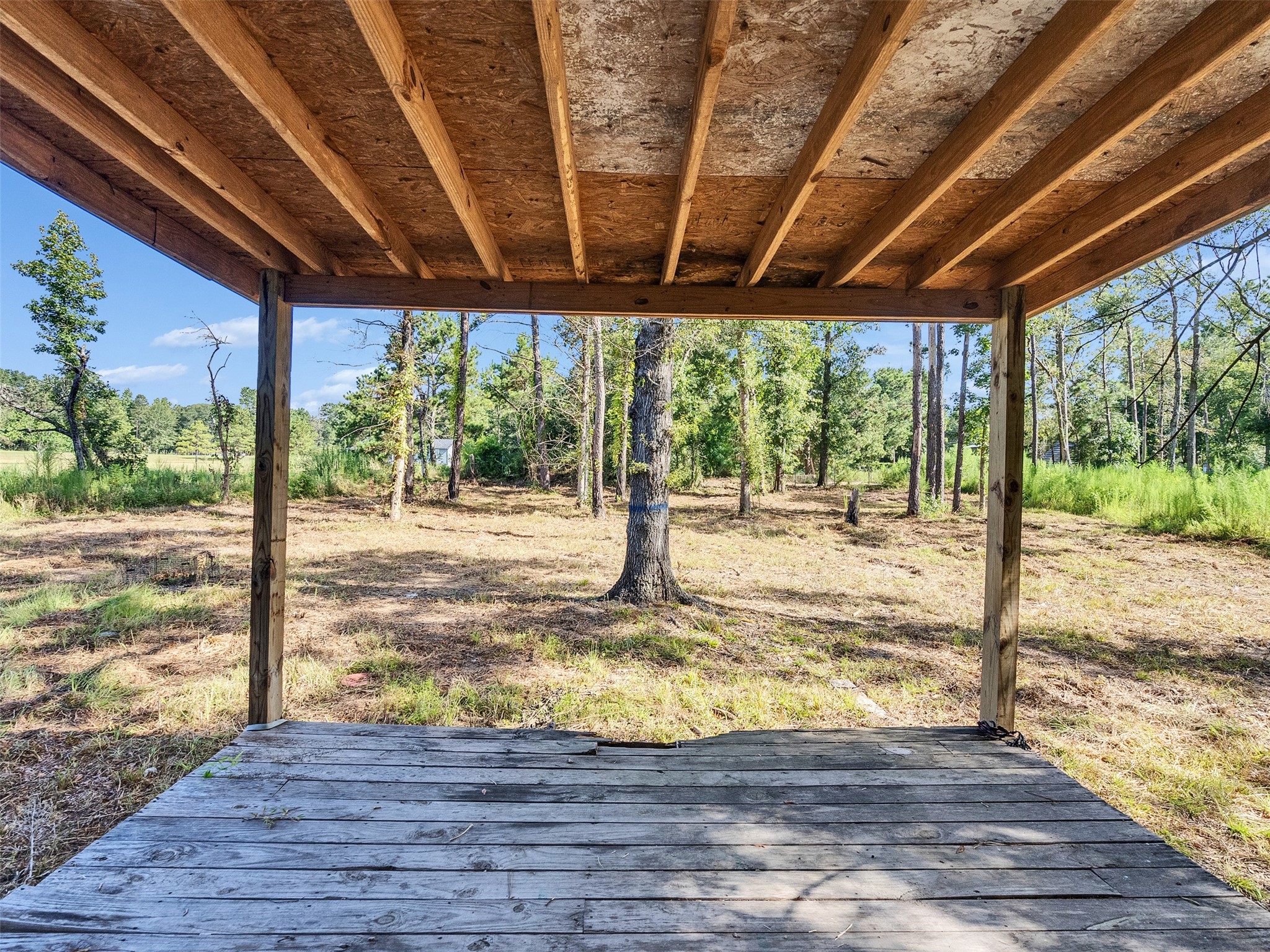 81 Hicks Cleveland, TX 77328 - Photo 15 of 24 a view of swimming pool with a backyard