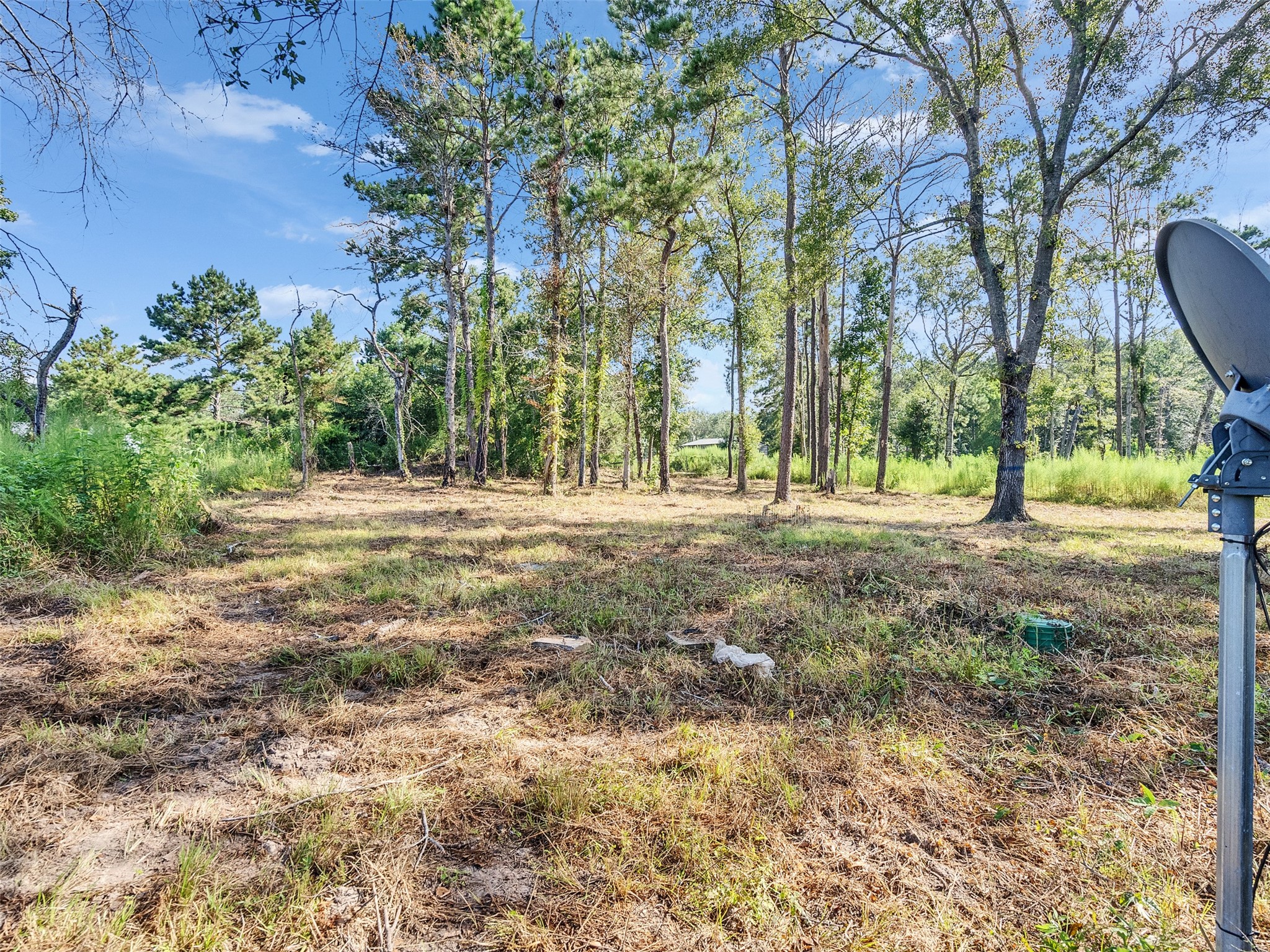 81 Hicks Cleveland, TX 77328 - Photo 19 of 24 a backyard of apartments with large trees