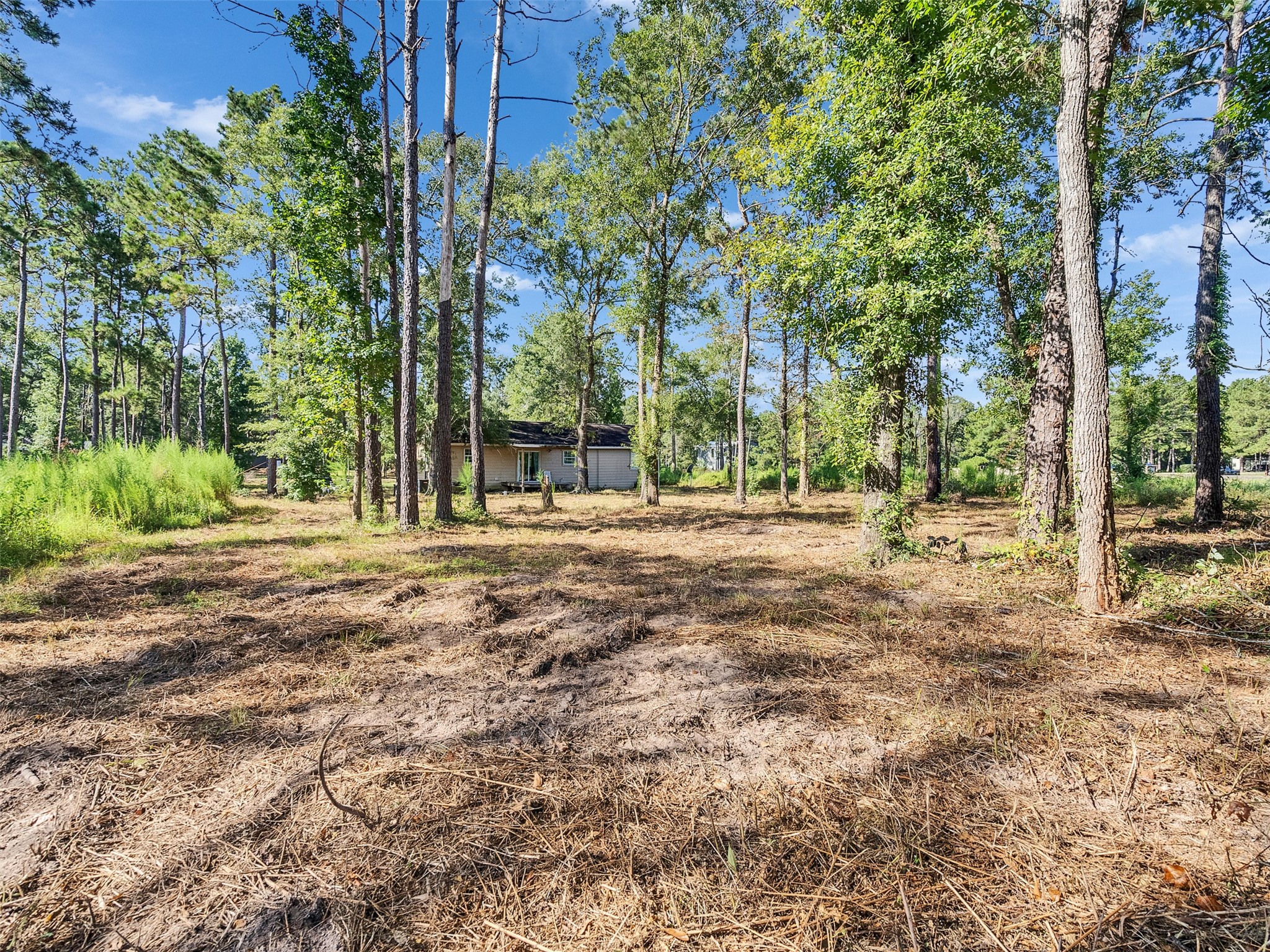 81 Hicks Cleveland, TX 77328 - Photo 20 of 24 a backyard of apartments with large trees