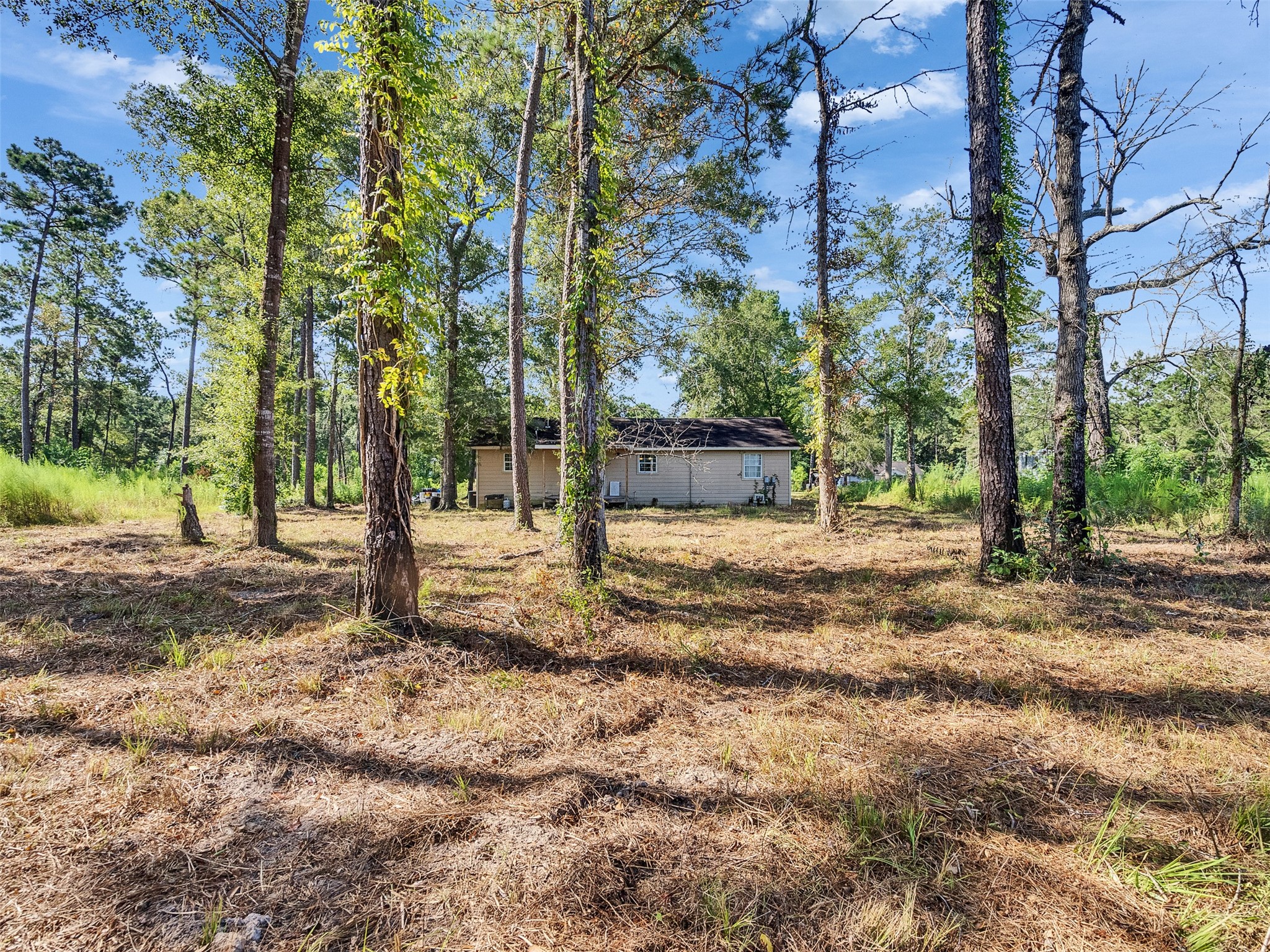 81 Hicks Cleveland, TX 77328 - Photo 21 of 24 a view of a yard with tree s
