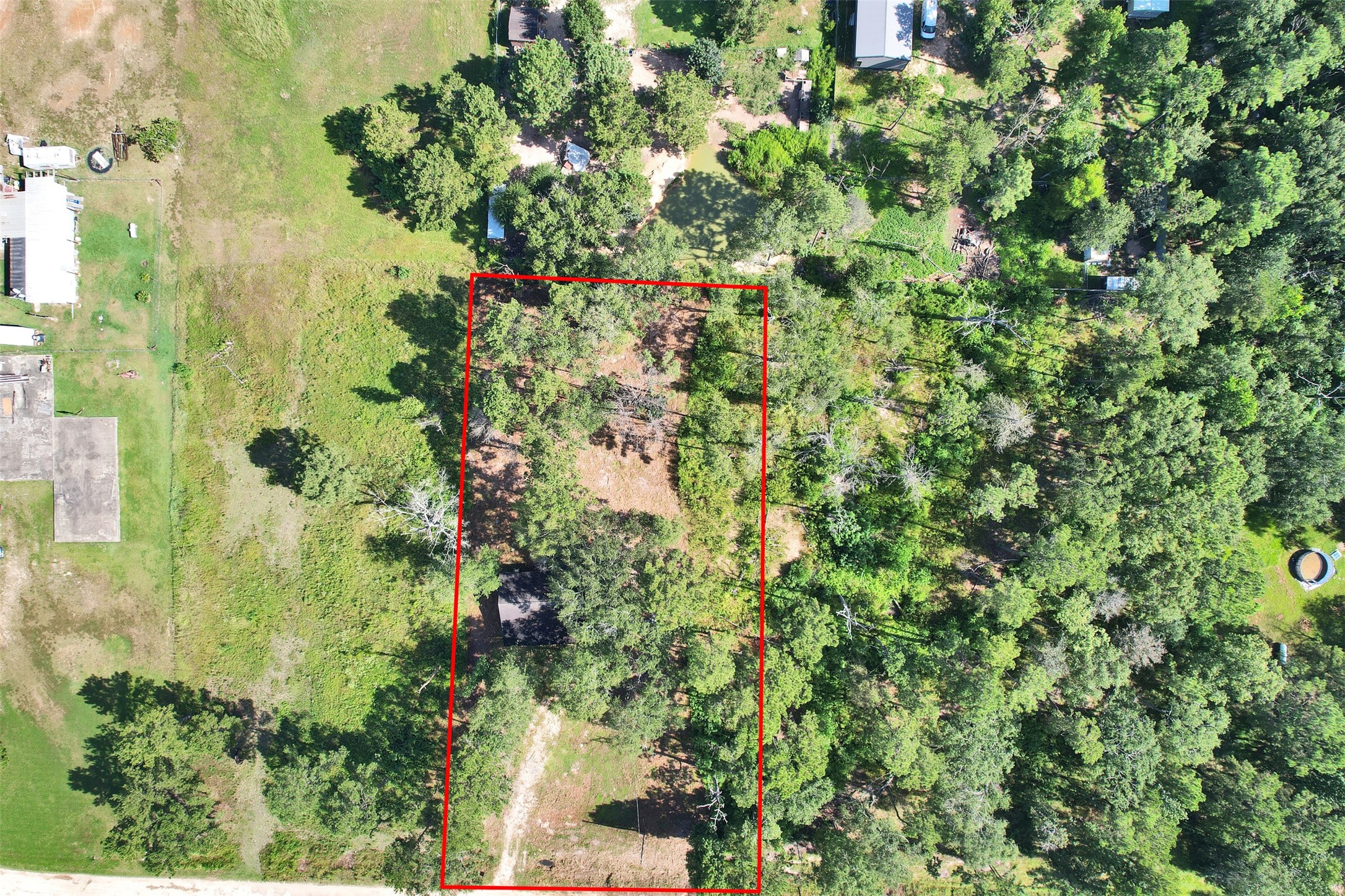 81 Hicks Cleveland, TX 77328 - Photo 22 of 24 a view of a plant in a garden