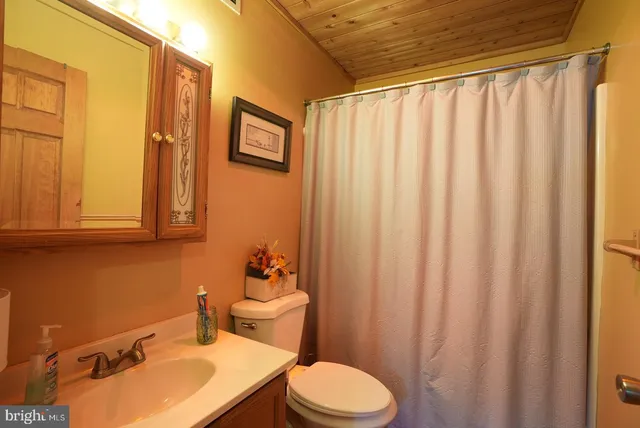 a bathroom with a sink a toilet and shower curtain
