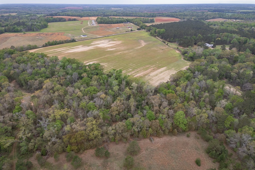 3-acres Singletary Road Slocomb, AL 36375 - Photo 9 of 15