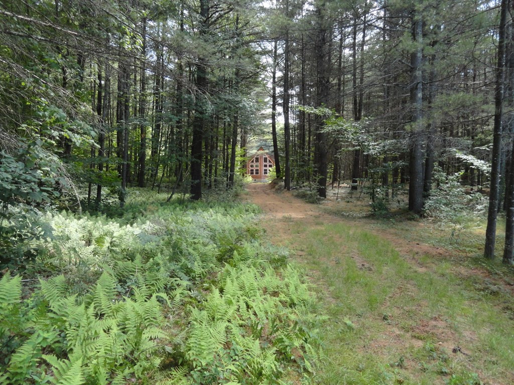 180 Sykes Road Harrisville, NY 13648 - Photo 58 of 74 Gallery Image 58