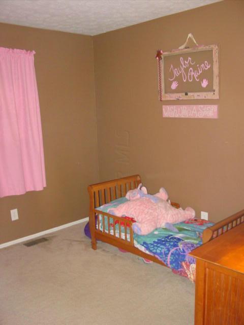 100 Sycamore Road Hebron, OH 43025 - Photo 17 of 33