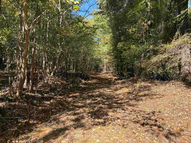 a view of outdoor space and a yard