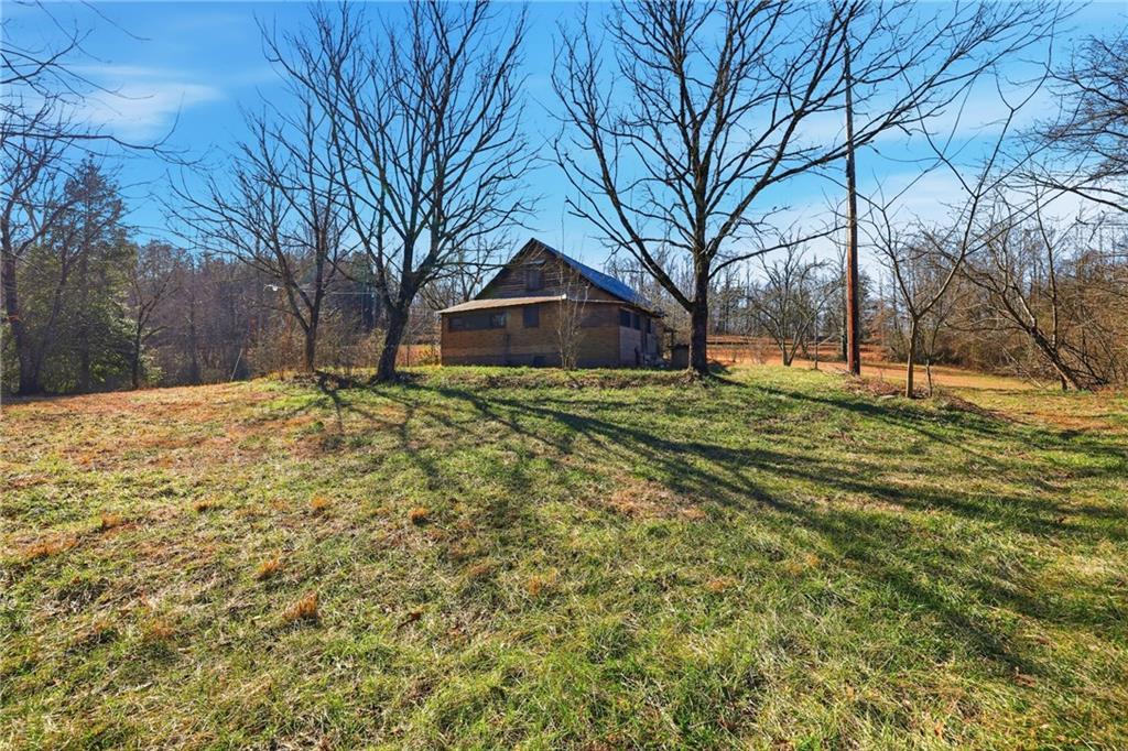 2558 Stonepile Road Clarkesville, GA 30523 - Photo 12 of 22 a yard with a tree