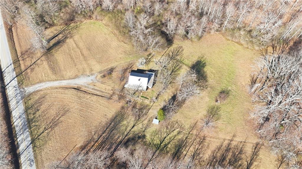 2558 Stonepile Road Clarkesville, GA 30523 - Photo 18 of 22 a view of a yard with a tree