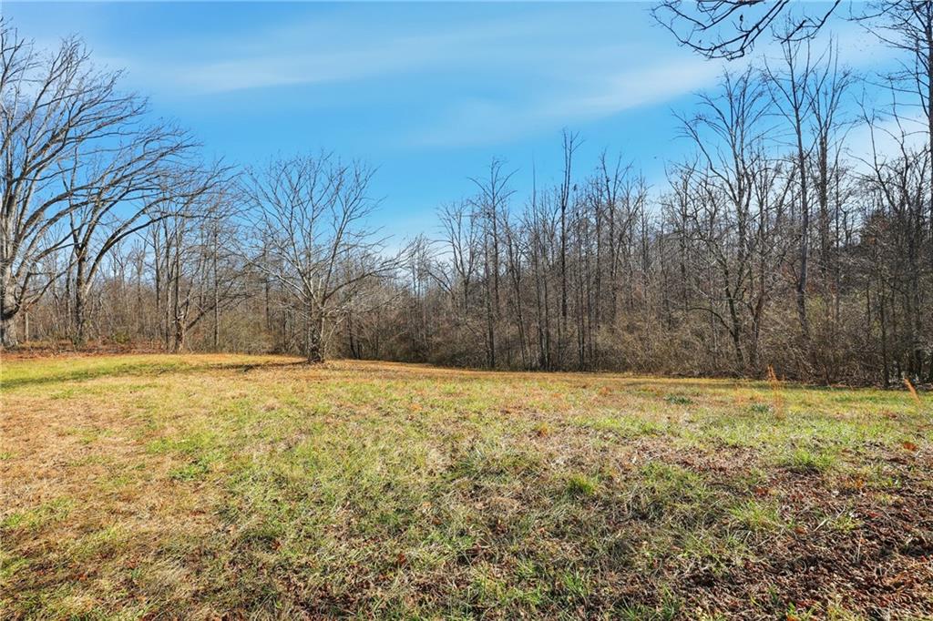 2558 Stonepile Road Clarkesville, GA 30523 - Photo 2 of 22 a view of an outdoor space and a yard
