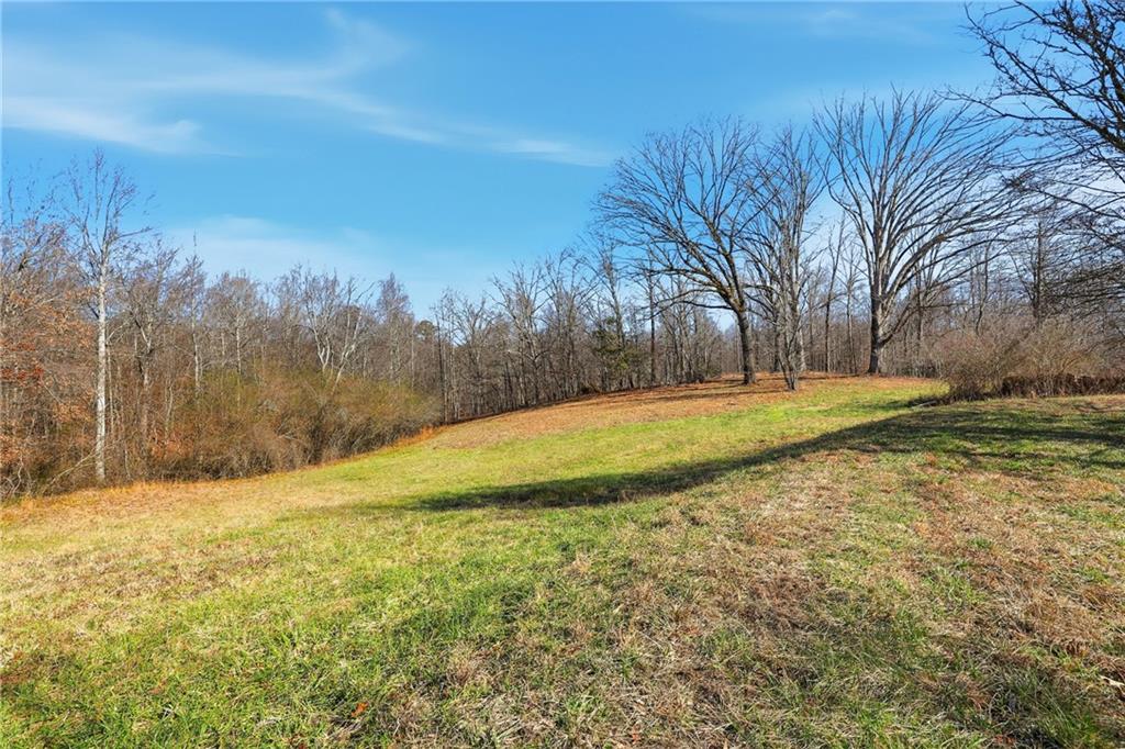 2558 Stonepile Road Clarkesville, GA 30523 - Photo 3 of 22 a view of yard with trees