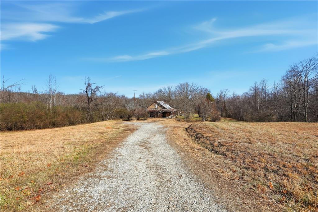 2558 Stonepile Road Clarkesville, GA 30523 - Photo 7 of 22 a view of a yard